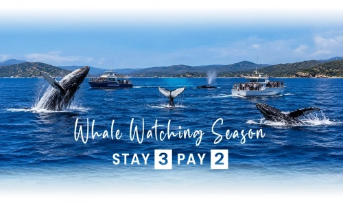 Whale Watching Season Stay 3 Pay 2